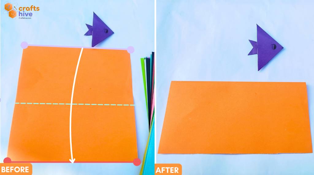 Step #1 Make A Horizontal Crease 