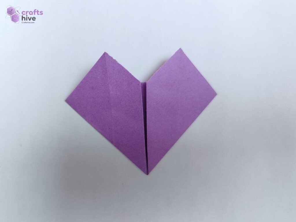 Step #5 Fold the Left Side
