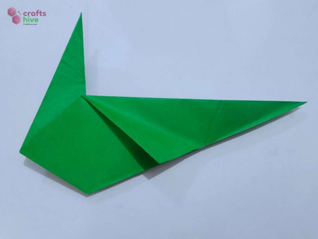 Step #8 Folds for the Head and Tail  (2)