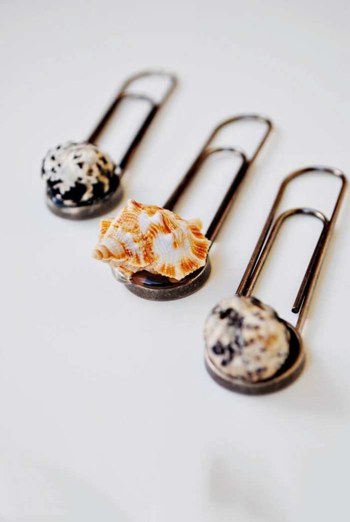 Souvenir seashell paperclips arranged neatly