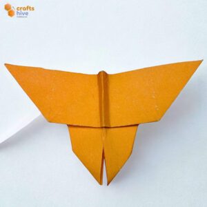 How to Fold Easy Origami Butterfly in 12 Steps
        
            
            
            
                Author: Talha