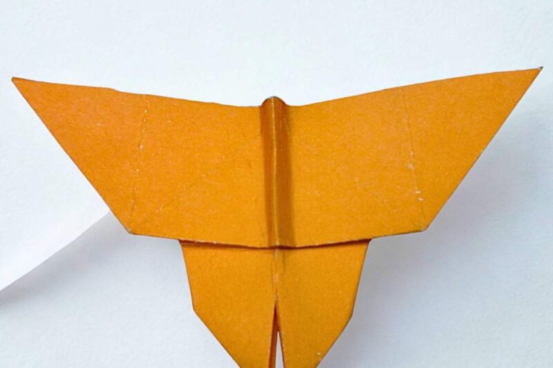 How to Fold Easy Origami Butterfly in 12 Steps