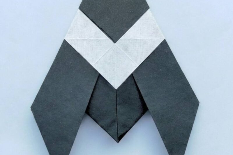 How to Fold Origami Beginner Cicada for Kids