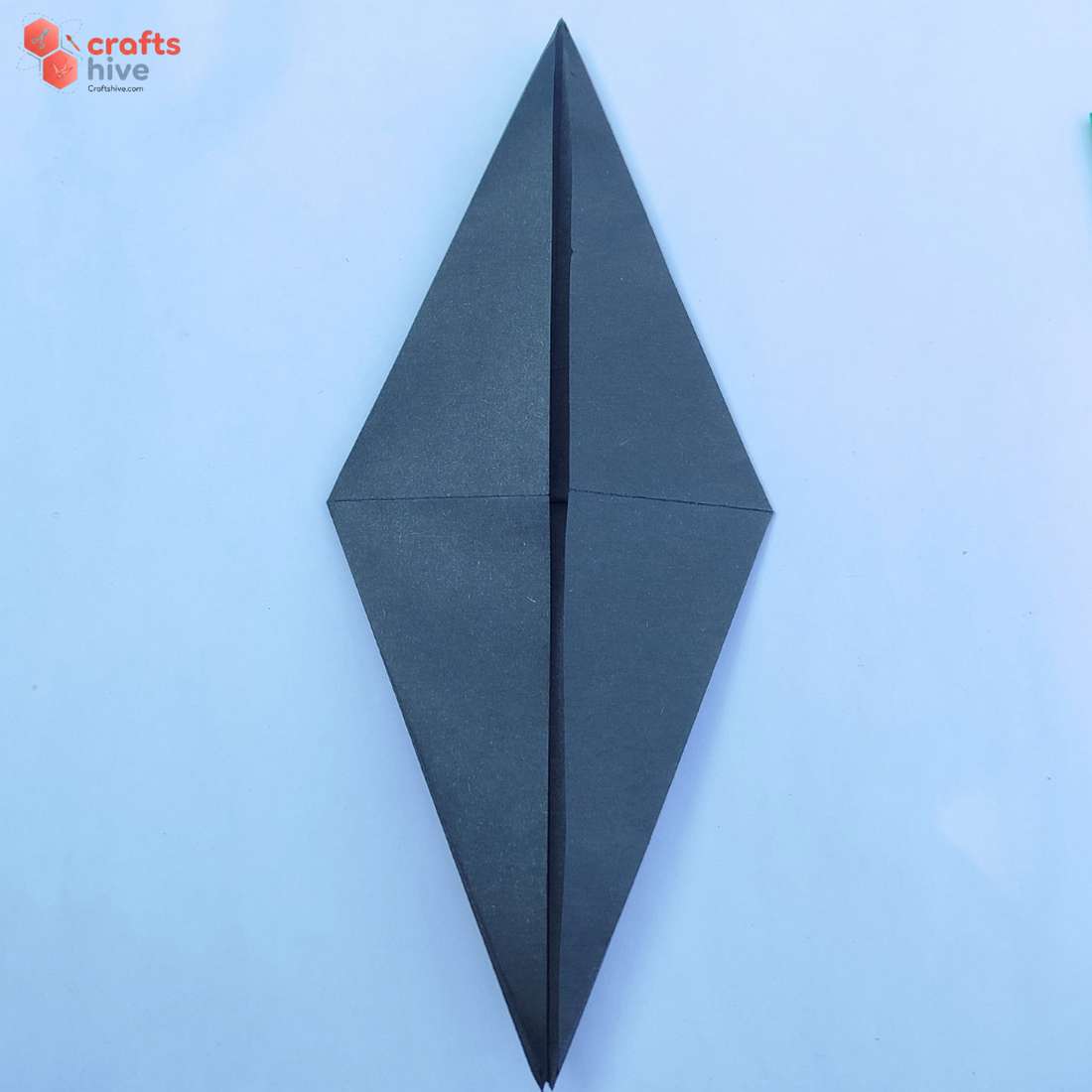 Kite (1)