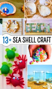 Ways to DIY Seashell Memento Crafts for Summer Decorations
        
            
            
            
                Author: Talha