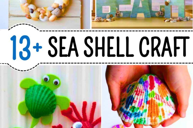 Ways to DIY Seashell Memento Crafts for Summer Decorations