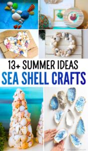 Ways to DIY Sea Shell Decorations for Summer
        
            
            
            
                Author: Talha