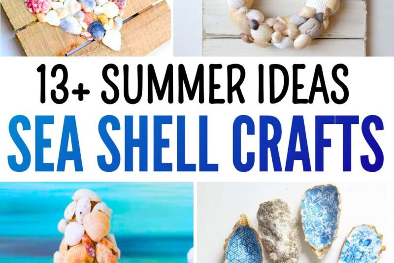 Ways to DIY Sea Shell Decorations for Summer