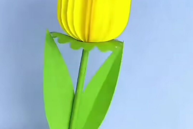 DIY Paper Tulip Craft for Décor and Gifting