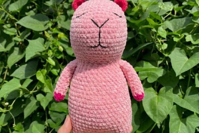 Free Crochet Cherry On Top Capybara Plushie Pattern