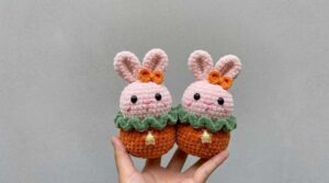Free Crochet Rabbit Bunny In Basket Plushie for Kids
        
            
            
            
                Author: Talha