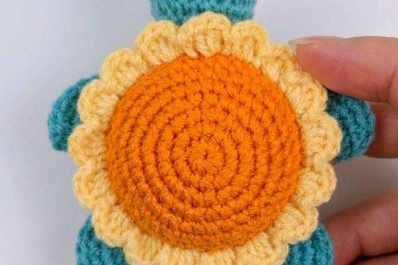 Free Crochet Pumpkin Pie Turtle Amigurumi Pattern for Fall