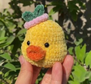 Free Crochet Duck Face Plushie Pattern for Summer
        
            
            
            
                Author: Talha