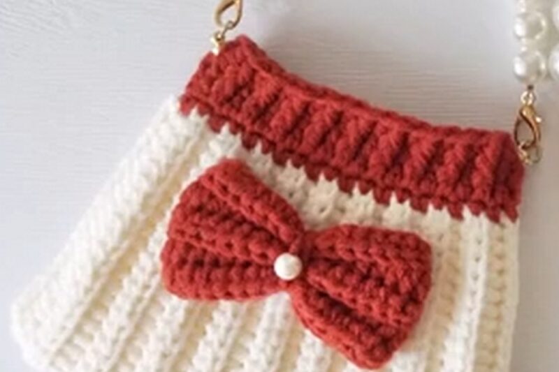 Free Crochet Skirt Bag Pattern (Classy Purse for Special Occasions)