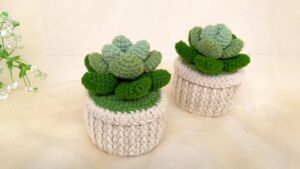 Crochet Succulent Plant Pot Amigurumi Decoration Pattern