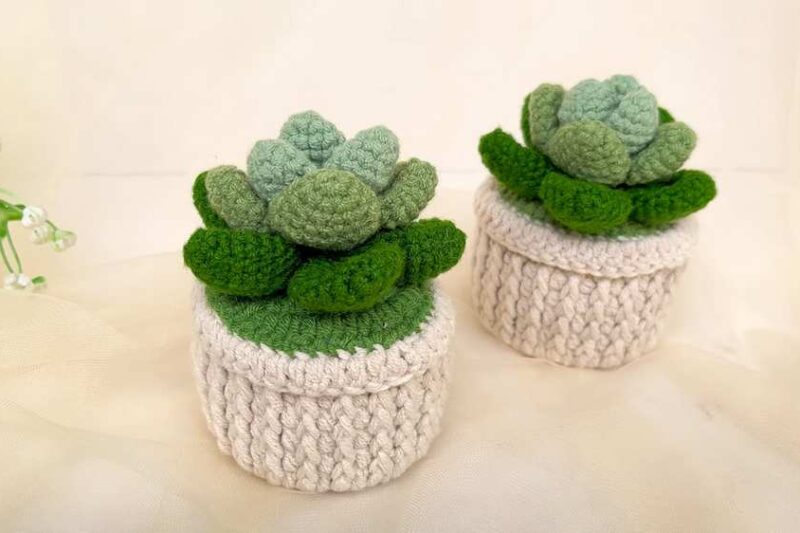 Crochet Succulent Plant Pot Amigurumi Decoration Pattern