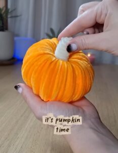 How to DIY Fairy-Lights Filled Pipe Cleaner Pumpkin for Fall
        
            
            
                Reference Images: KitschyFlore
            
        
        
            
            
            
                Author: Talha