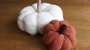 How to DIY A Cozy & Soft Teddy Pumpkin Plush from Fuzzy Fabric
        
            
            
                Featured Crafter: MiLena
            
        
        
            
            
                Reference Images: Maqaroon via Youtube