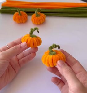 How to DIY Miniature & Fluffiest Pumpkin from Pipe Cleaners for Fall
        
            
            
            
                Author: Talha