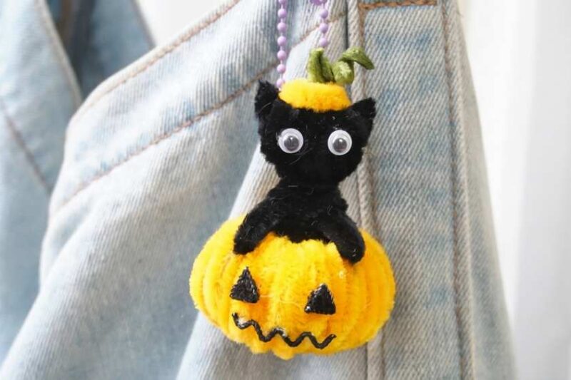 How to DIY Black Cat in A Spooky Pumpkin Pipe Cleaner Craft