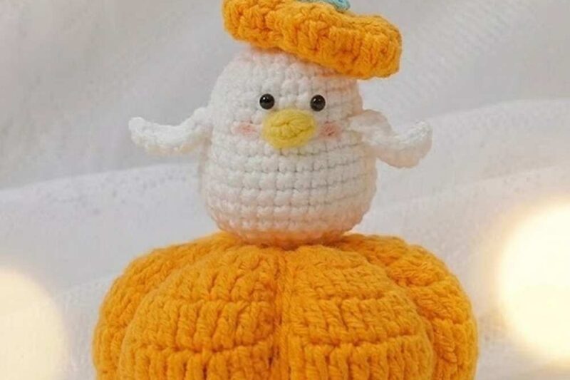 Featuring: Crochet Tiny Duck Resting Over a Pumpkin Amigurumi