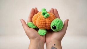 Featuring: Tutorial to Crochet Green Turtle with Pumpkin Shell Plushie for Fall
Featuring: Casie